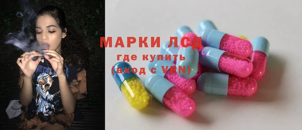 mdpv Тайга